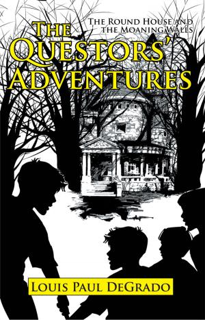 Cover of the book The Questors’ Adventures by Kevin McDonald Andrews