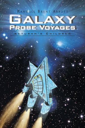 Cover of the book Galaxy Probe Voyages by John E. Andes