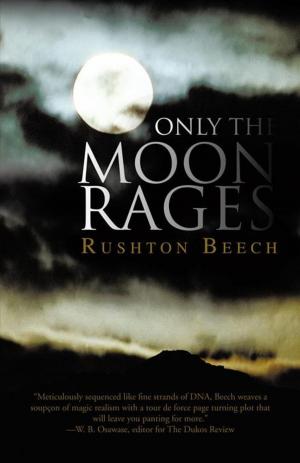 Cover of the book Only the Moon Rages by Richard Palmer