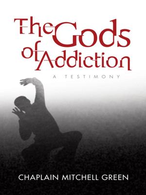 Cover of the book The Gods of Addiction by Oddeth S. Burton