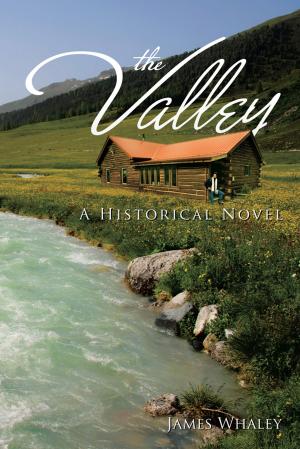 Cover of the book The Valley by DeAnnne Rosenberg