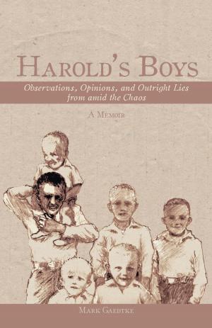Cover of the book Harold’S Boys by Danea Gorbett