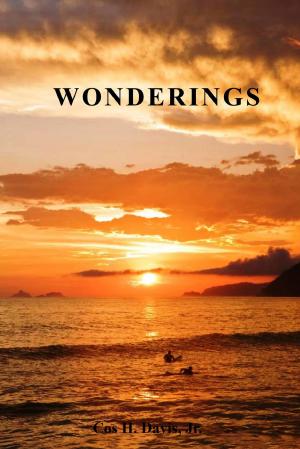 Cover of the book Wonderings by Victor Hugo