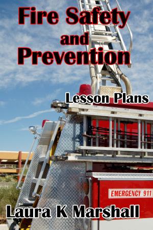 Cover of the book Fire Safety and Prevention by Laura K Marshall