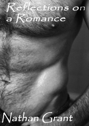 Cover of the book Reflections on a Romance by Jeanne-A Debats