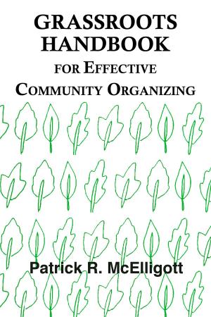 Cover of the book Grassroots Handbook for Effective Community Organizing by V. Fabbri