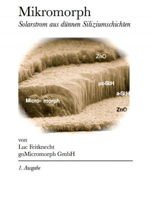 Cover of the book Mikromorph by 