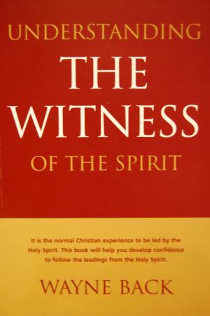 Cover of the book Understanding the Witness of the Spirit by Dr. A. Nyland