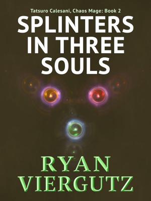 Cover of the book Splinters in Three Souls by Ryan Viergutz
