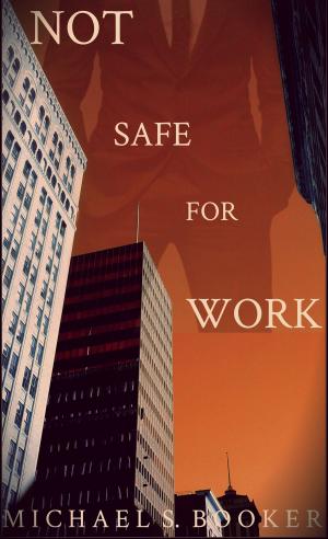 bigCover of the book Not Safe For Work by 