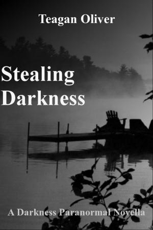 Cover of the book Stealing Darkness by A. E. Wasp