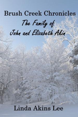 Book cover of Brush Creek Chronicles: The Family of John and Elizabeth Akin