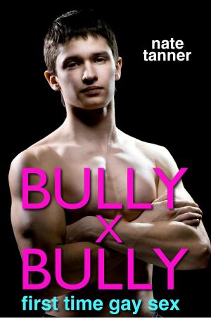 Cover of Bully X Bully: First Time Gay Sex