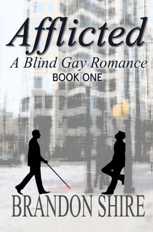 bigCover of the book Afflicted: A Blind Gay Romance by 