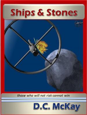 Cover of the book Ships & Stones by Walter Lazo