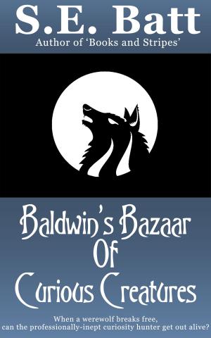 Cover of the book Baldwin's Bazaar of Curious Creatures by Jennifer Roush