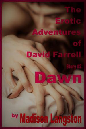 Cover of the book Dawn (An Erotic Adventure of David Farrell) by Eva Deverell