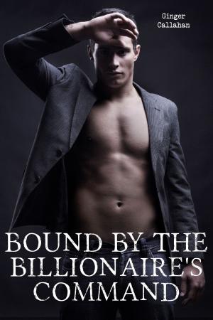 Cover of the book Bound by the Billionaire's Command (Gay Billionaire BDSM Erotica Bundle) by Ruby Flynn
