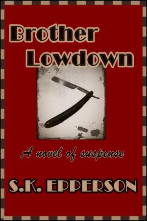Book cover of Brother Lowdown