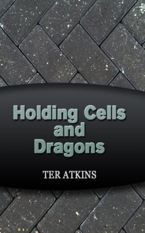 Cover of the book Holding Cells and Dragons by Scott Overton