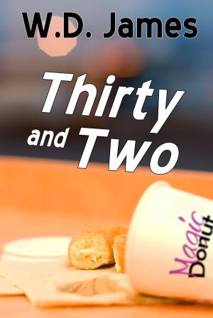 Cover of the book Thirty and Two by Lorna Gray