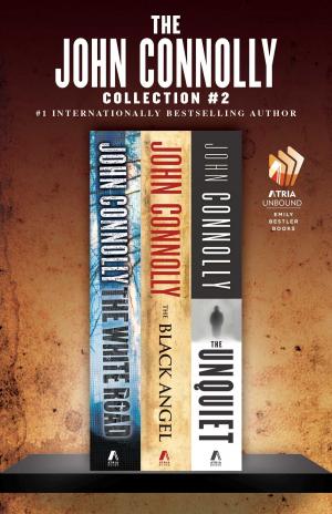 Cover of the book The John Connolly Collection #2 by María Celeste Arrarás