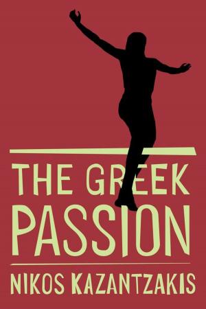 Cover of the book Greek Passion by Vicki Abeles