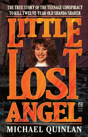 Cover of the book Little Lost Angel by Linda Robertson