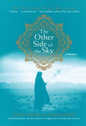 Book cover of The Other Side of the Sky