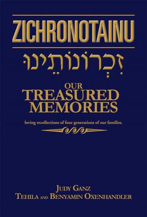 Cover of the book Zichronotainu by A. Lee Chichester