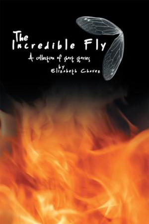 Cover of the book The Incredible Fly by Bob Sharpe, Bobbi Lynn Zaccardi