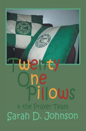 Book cover of Twenty One Pillows and the Prayer Team