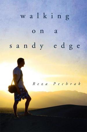 Cover of the book Walking on a Sandy Edge by H. Dixon