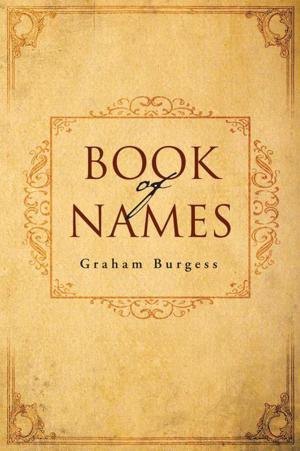 Cover of the book Book of Names by MATLOU