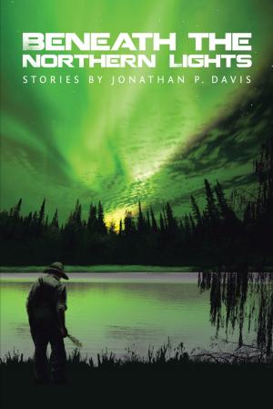 Cover of the book Beneath the Northern Lights by Vanessa Gant