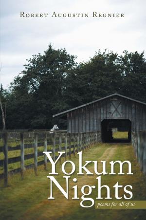 Cover of the book Yokum Nights by D. St. Louis
