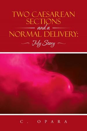Cover of the book Two Caesarean Sections and a Normal Delivery: by Steef Hoogendam