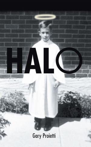 Cover of the book Halo by Tercius Belfort Noelsaint