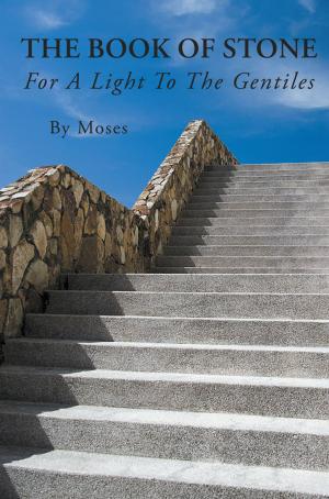 Cover of the book The Book of Stone by Sue Bridgwater, Alistair McGechie