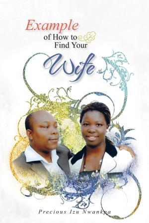 bigCover of the book Example of How to Find Your Wife by 