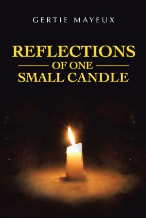 Cover of the book Reflections of One Small Candle by John Osborn