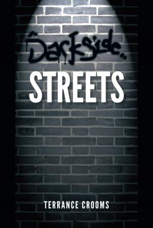 Cover of the book Darkside Streets by Collane  Lisa Caffey