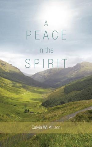 Cover of the book A Peace in the Spirit by Nancy Devlin