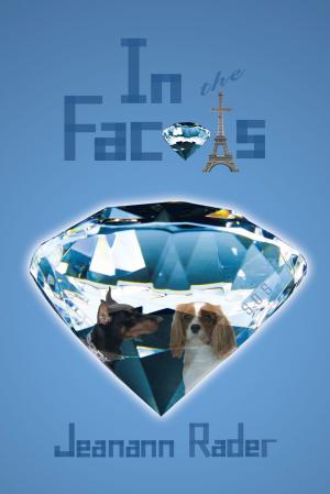 Cover of the book In the Facets… by Bree Vanderland, Morgan Middleton