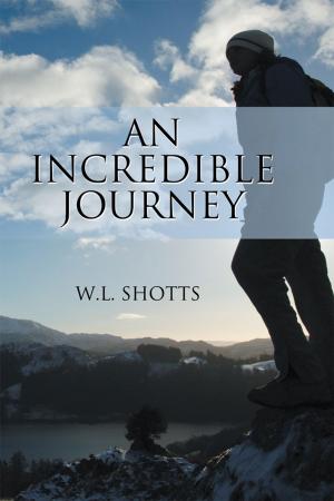 Cover of the book An Incredible Journey by Richard W. Coan