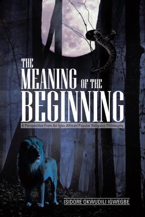 Cover of the book The Meaning of the Beginning by JD Harris