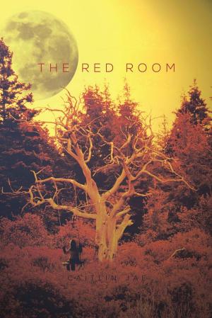Cover of the book The Red Room by Yianna Yiannacou