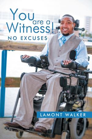 Cover of the book You Are a Witness! by Paul Kilvington