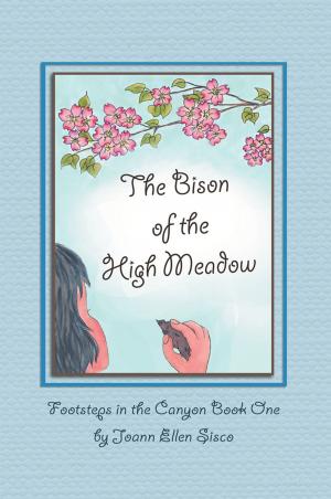 Book cover of The Bison of the High Meadow