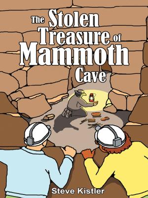Book cover of The Stolen Treasure of Mammoth Cave